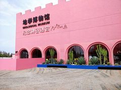 -漳州滨海火山岛自然生态风景区