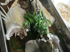 瘦身大头鱼-美莓农场