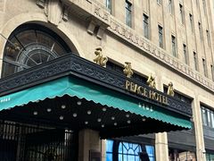 -上海和平饭店 Fairmont Peace Hotel
