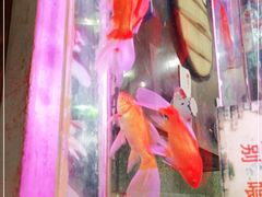 -粗粮人家·东北菜(洋桥店)