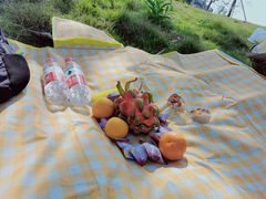 -两河城市森林公园