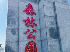 -塘沽森林公园