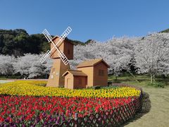-苏州上方山国家森林公园