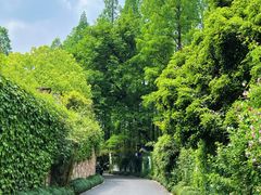 -柳莺湖上·湖景餐厅·江南菜(西湖店)