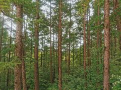 -白草畔自然风景区