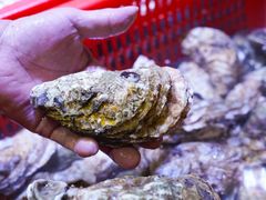 -巽寮印象美食部落餐厅·海鲜·地方特色菜(惠州体验店)