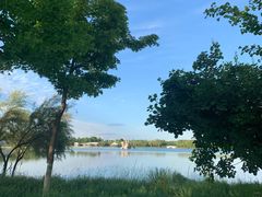 -大兴滨河森林公园