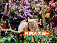 -正佳极地海洋世界