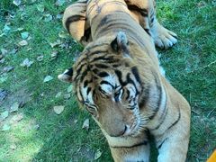 -北京野生动物园