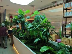 -悦海·家宴·冰花皮皮虾大锅贴(宝龙店)