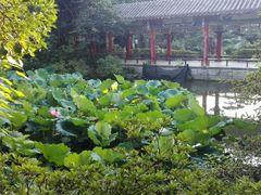 android_upload_pic-华雅花园大酒店