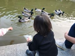 -云溪植物园