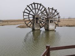 -宁波杭州湾国家湿地公园
