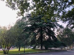 -山东师范大学(千佛山校区)