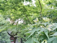-圣玛利亚女中旧址