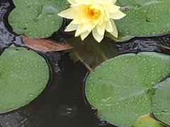 -洛阳市隋唐城遗址植物园
