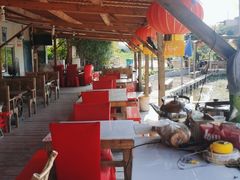 -同銮特种养殖场·龙虾垂钓