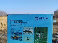 -大兴滨河森林公园