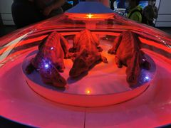 -侏罗纪世界电影特展(广州站)