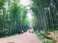 -蜀南竹海景区