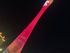 -珠江夜游省总码头