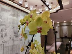 -南堂馆·新川菜(天府三街店)