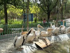 -水上乐园·欢乐世界