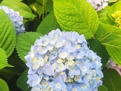 -金银湖国家城市湿地公园