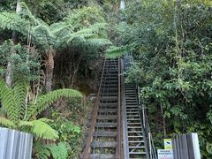 -悉尼蓝山三姐妹峰
