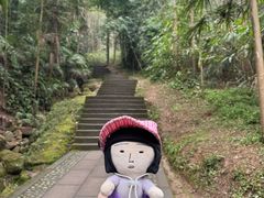 -凤栖山