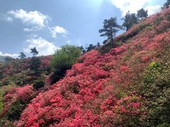 -木兰云雾山