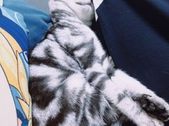 -美迦爱-牙专科·兔科·骨科诊疗中心(北苑店)