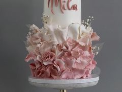 -鸣记脆皮烤鱼(三八广场店)