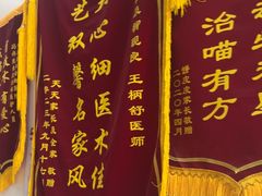 -中农国际动物医院24小时·猫科·骨科·急重症中心