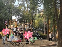 -东湖落雁景区