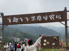 -长沙黑麋峰国家森林公园