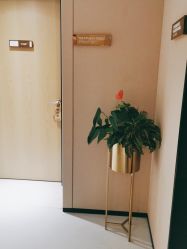 -广东韩妃整形外科医院