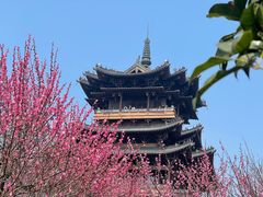 -杭州半山国家森林公园