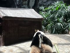 -乐和乐都主题乐园
