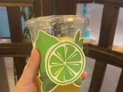 -永安水煮活鱼·仪征土菜院子