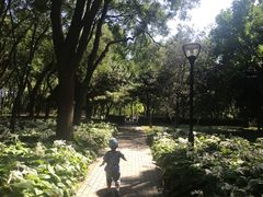 -玲珑塔公园
