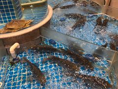 -百鸟朝凤宴会中心