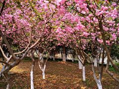 -白塘生态植物园