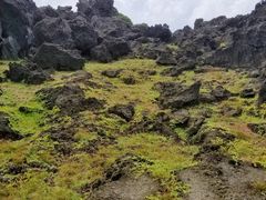 -龙坑生态保护区