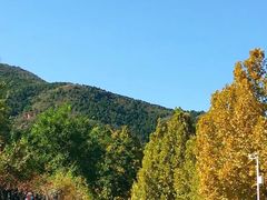 -北京西山国家森林公园