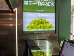 -茉酸奶(春熙路店)