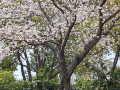 -昆山城市公园