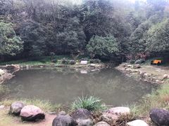 -潜山国家森林公园