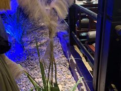 -绿茶餐厅(昆明世纪金源店)