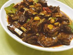 -丁老爷子苏香圆
